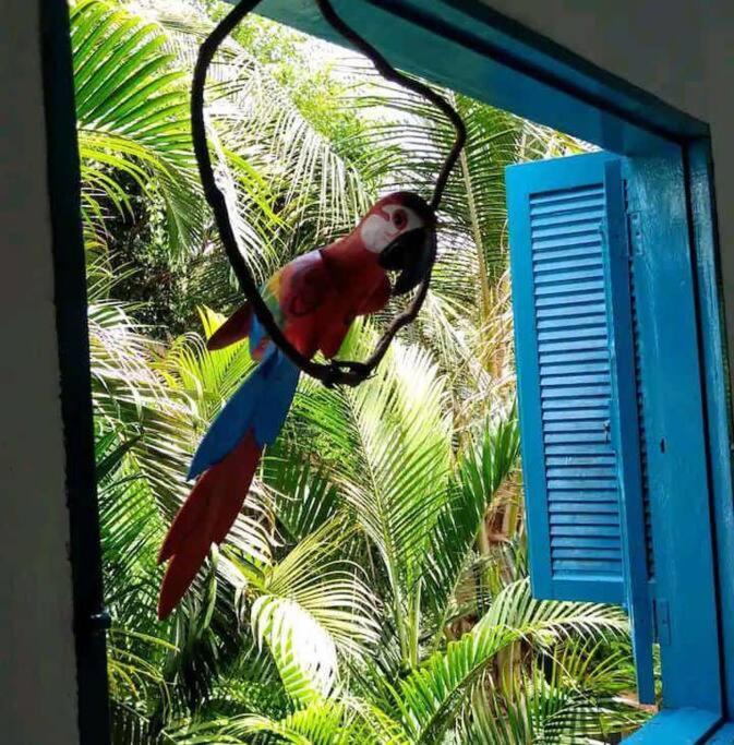 Casa Ilhabela A Cinco Minutos Do Centro别墅 外观 照片